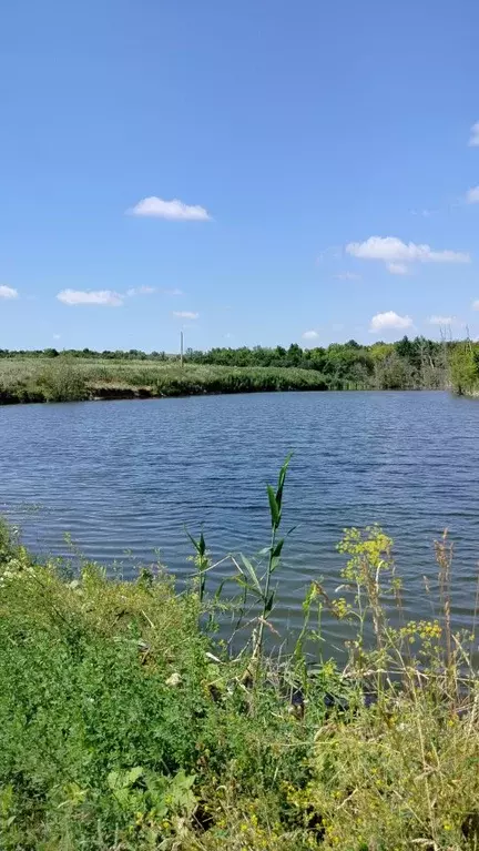 Участок в Саратовская область, Красноармейск  (2.0 сот.) - Фото 1