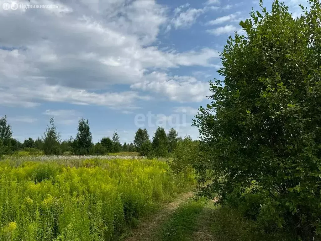 Участок в Нижегородская область, Городецкий муниципальный округ, ... - Фото 1