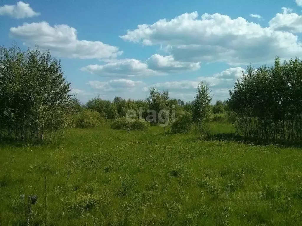 Участок в Калужская область, Малоярославецкий муниципальный округ, с. ... - Фото 2