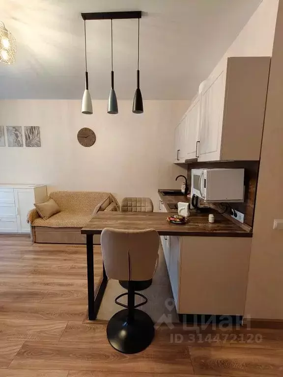 Студия Тульская область, Тула ул. Купцов Гречихиных, 10 (25.0 м) - Фото 1