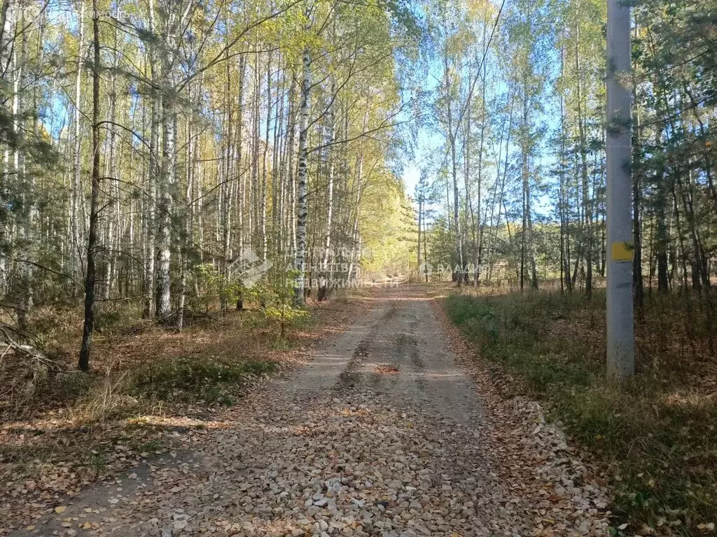 Участок в Рязанская область, Спасский муниципальный округ, ... - Фото 2