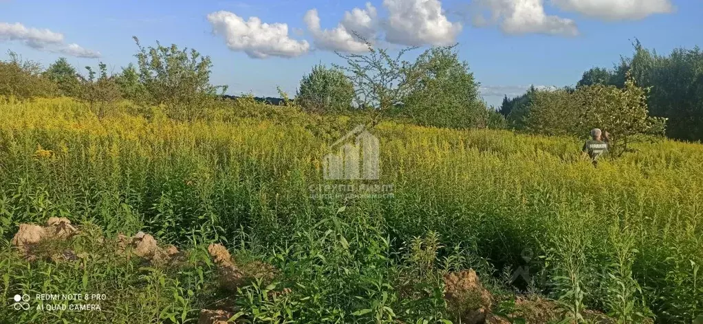 Участок в Калининградская область, Зеленоградский муниципальный округ, ... - Фото 1