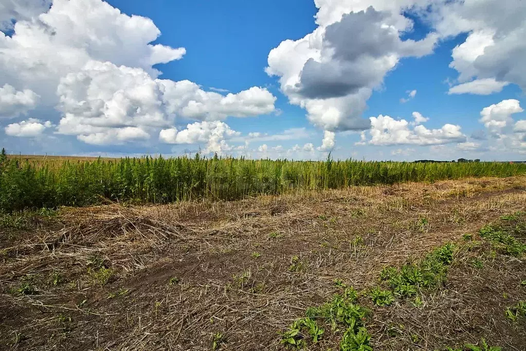 Участок в Тюменская область, Тюменский муниципальный округ, ... - Фото 1