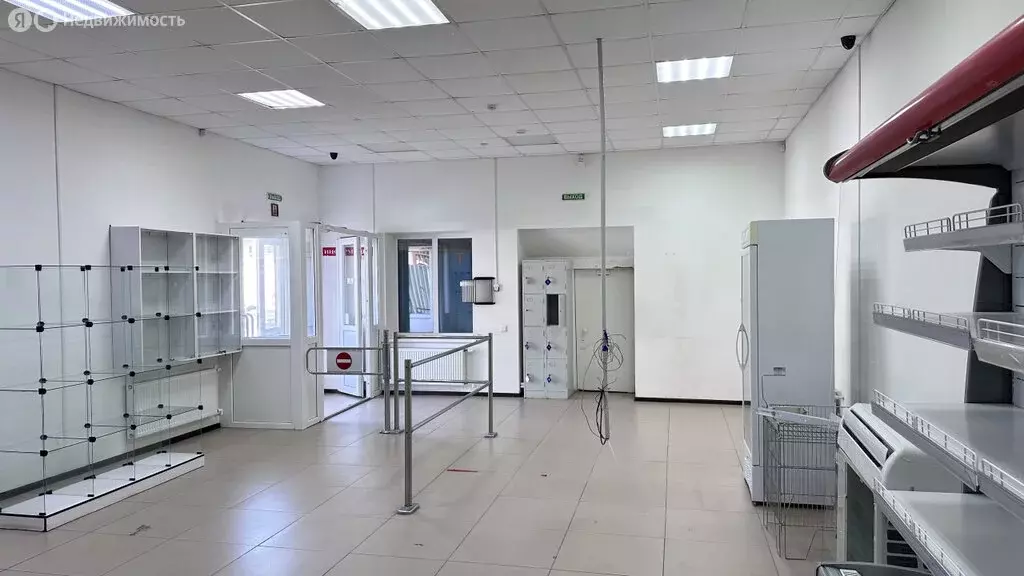 Помещение свободного назначения (237.4 м) - Фото 1