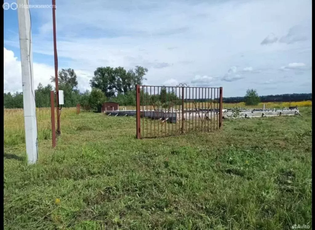 Участок в Нижегородская область, Богородский муниципальный округ, ... - Фото 1