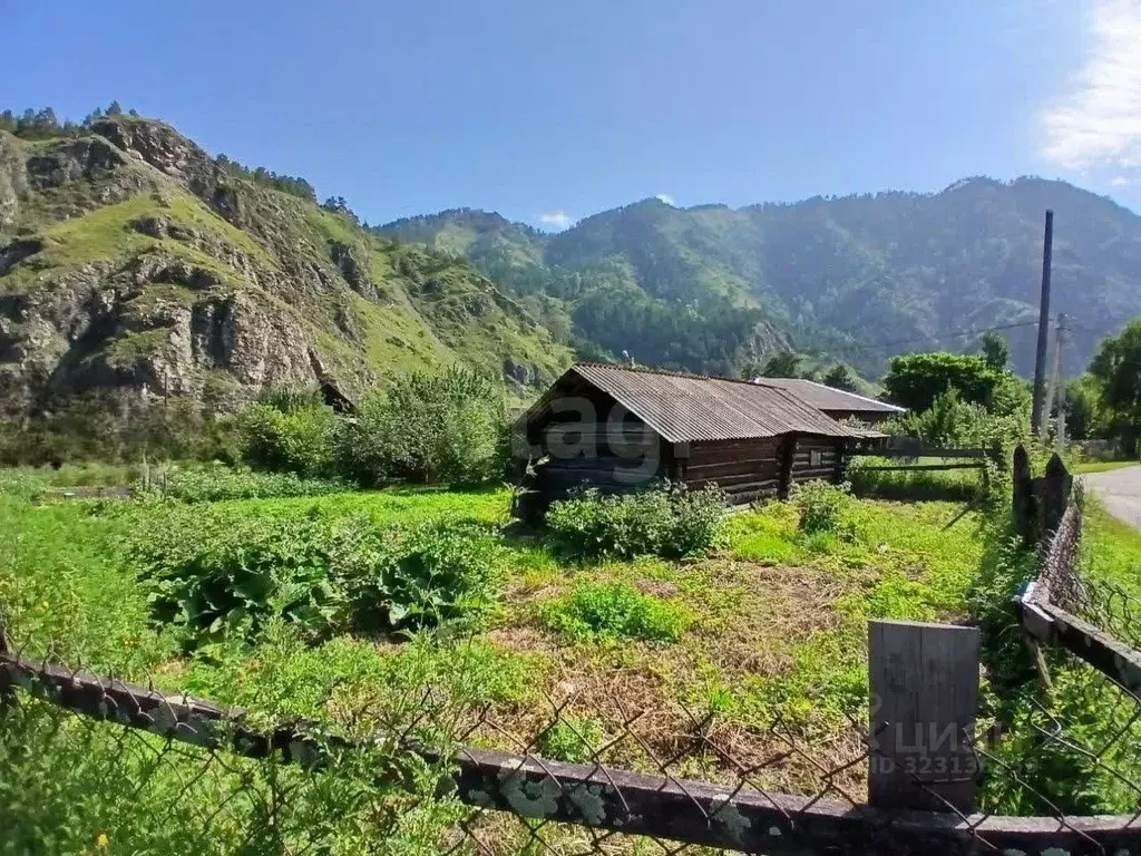 Участок в Алтай, Чемальский район, с. Чемал Луговая ул. (7.0 сот.) - Фото 1