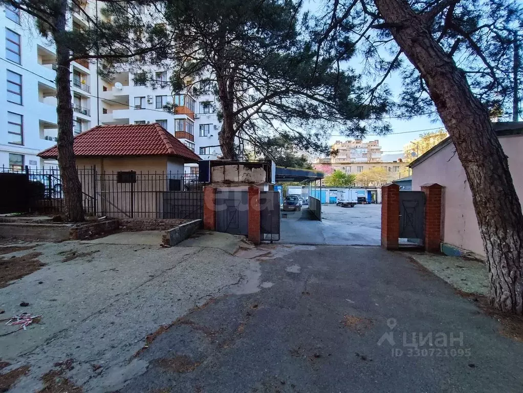 Участок в Краснодарский край, Геленджик ул. Грибоедова (12.8 сот.) - Фото 1