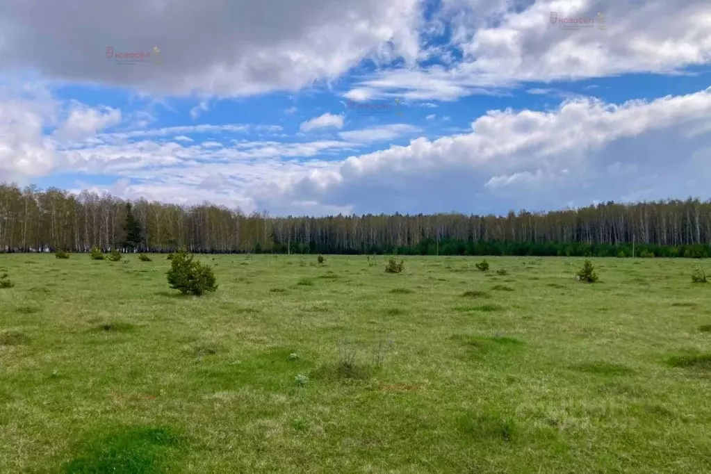 Участок в Свердловская область, Екатеринбург муниципальное ... - Фото 0