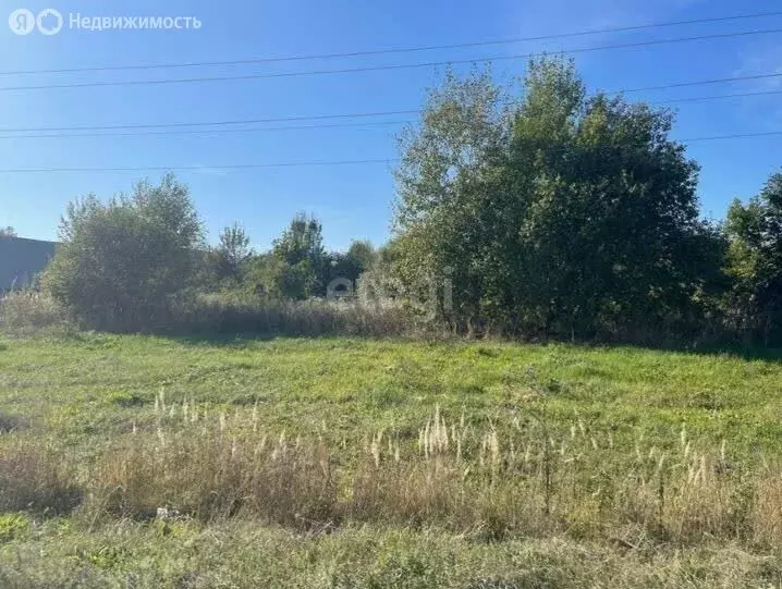 Участок в Владимирская область, Меленковский муниципальный округ, ... - Фото 0