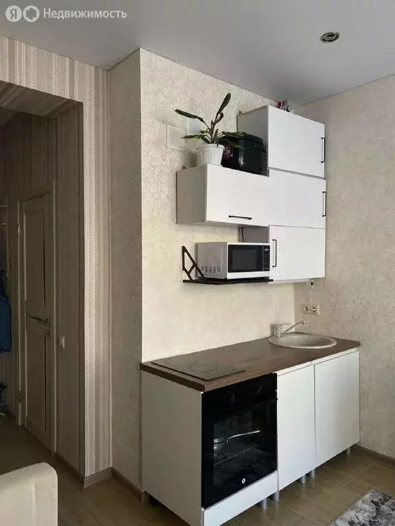 Квартира-студия: Сочи, Высокогорная улица, 48А (20.9 м) - Фото 2