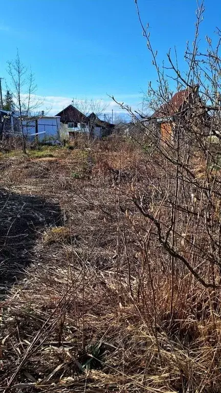 Дом в Новгородская область, Новгородский район, Панковское городское ... - Фото 1