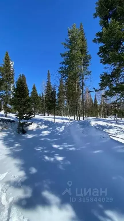 Участок в Кемеровская область, Таштагольский район, Шерегешское ... - Фото 0