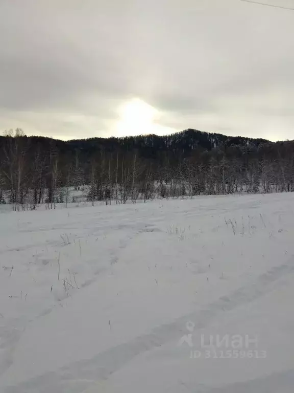 Участок в Алтай, Чемальский район, пос. Верх-Анос ул. Центральная ... - Фото 1