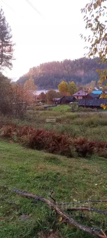 Участок в Алтай, Турочакский район, с. Кебезень Нагорная ул. (39.76 ... - Фото 1