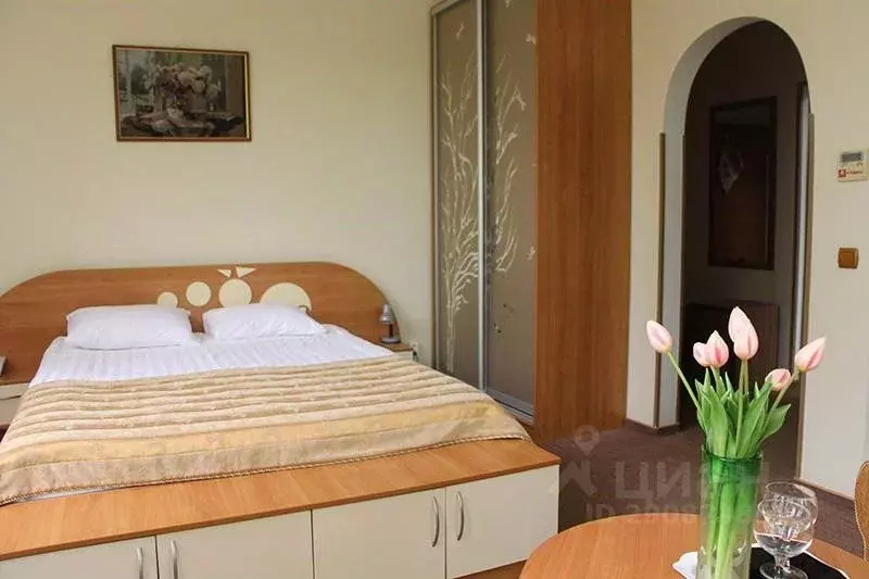 Комната Краснодарский край, Горячий Ключ ул. Ленина, 2/1 (19.0 м) - Фото 1