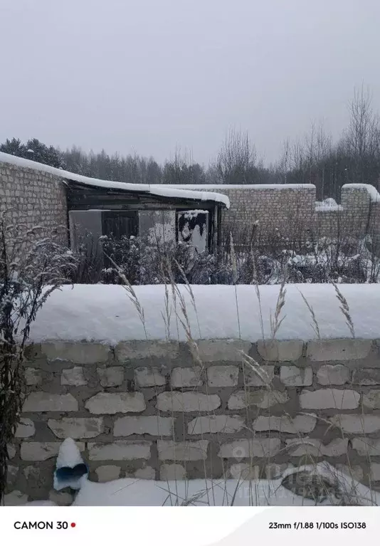 Участок в Нижегородская область, Городецкий муниципальный округ, с. ... - Фото 0
