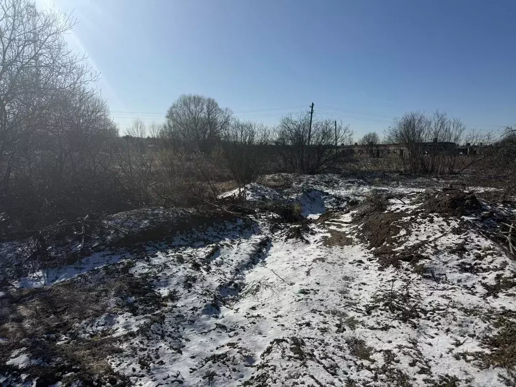 Участок в Московская область, Пушкинский городской округ, Царевское ... - Фото 1