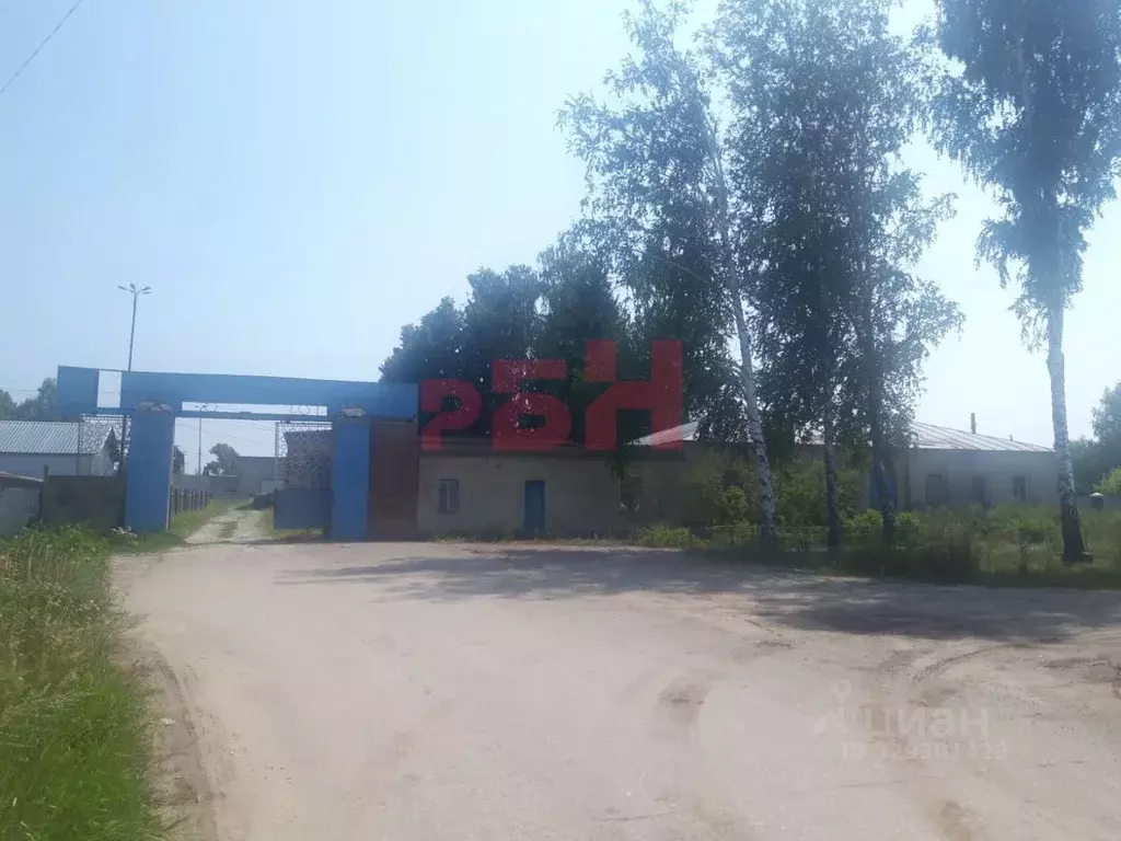 Производственное помещение в Пензенская область, Шемышейка пгт ул. ... - Фото 1