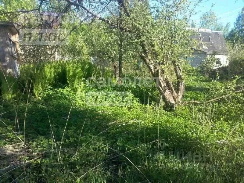 Участок в Нижегородская область, Балахнинский муниципальный округ, ... - Фото 0