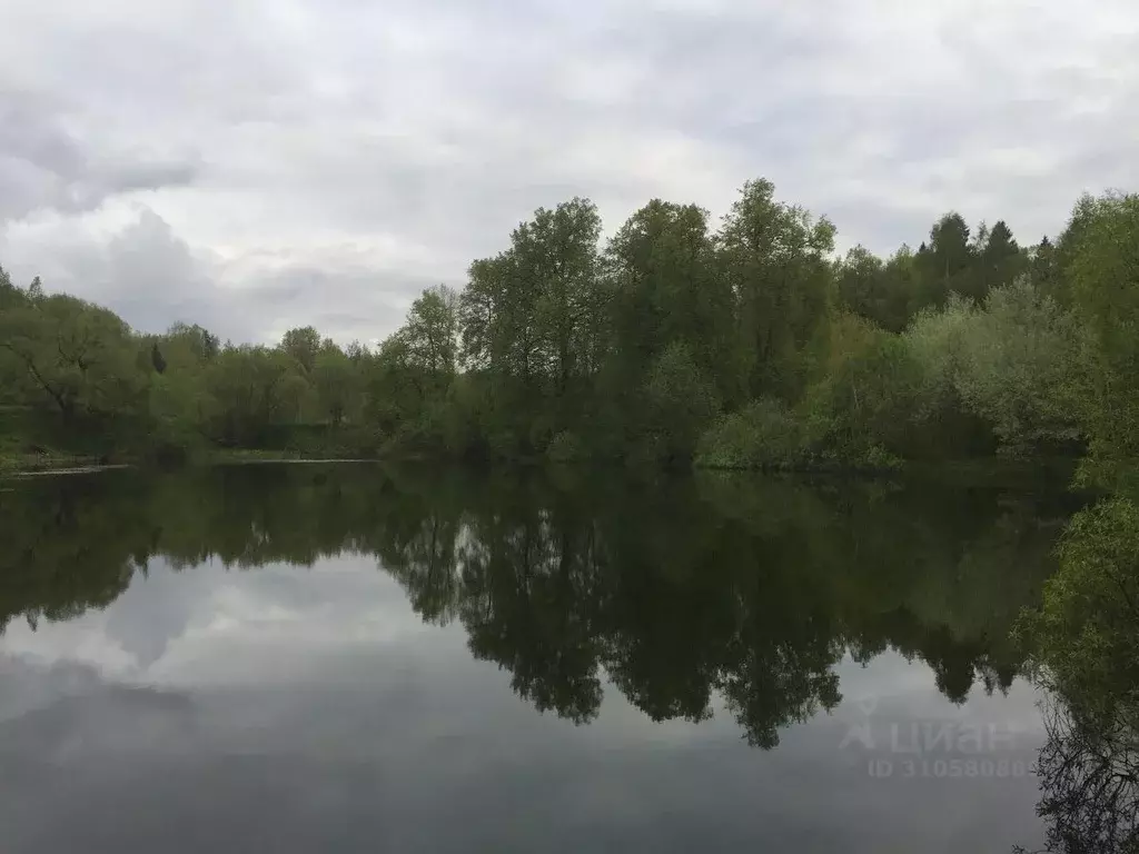 Участок в Московская область, Наро-Фоминский городской округ, д. ... - Фото 1