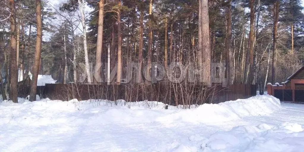 Участок в Новосибирская область, Новосибирский район, Мочищенский ... - Фото 2