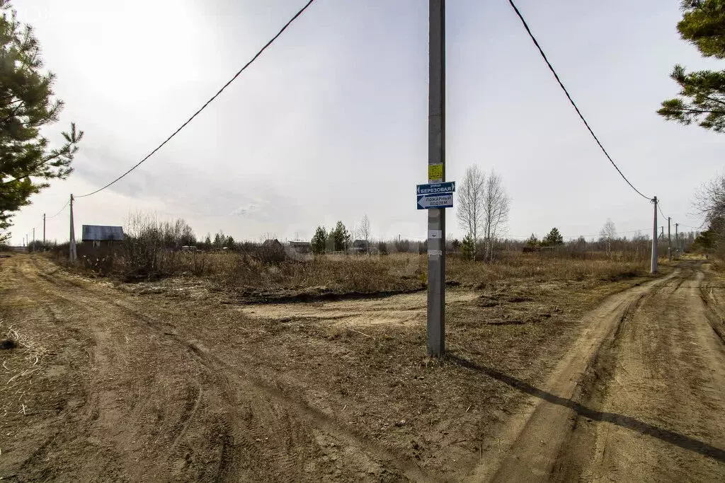 Участок в Тюмень, СНТ Надежда-3 (10 м) - Фото 1