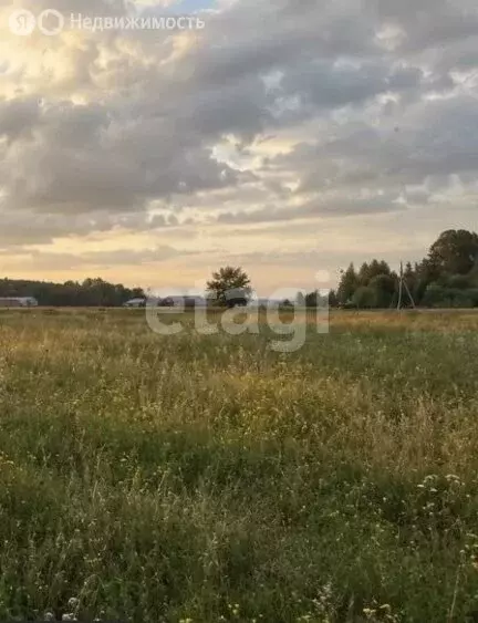 Участок в Заокский район, сельское поселение Страховское, посёлок ... - Фото 2