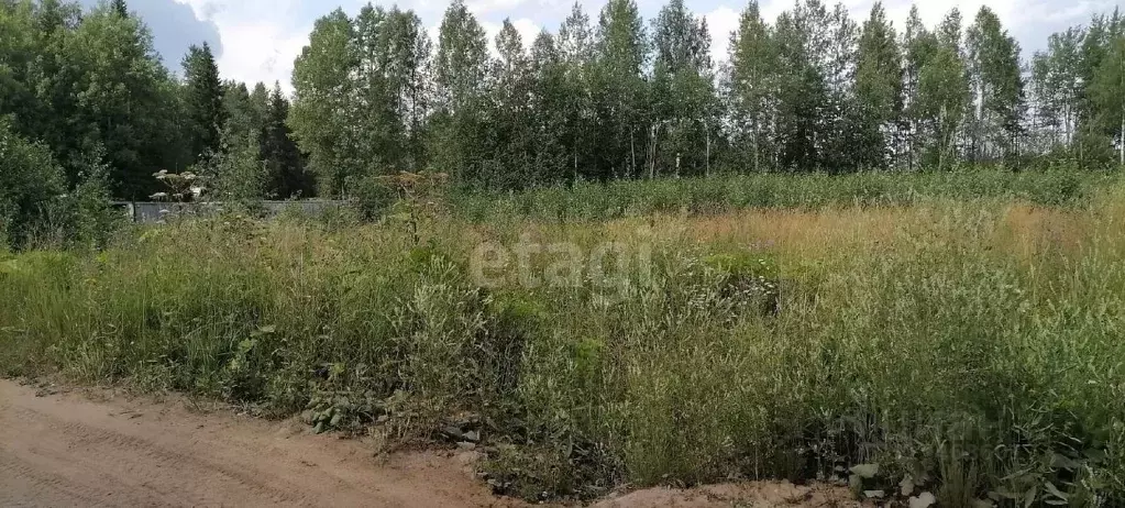 Участок в Коми, Сыктывдинский район, Выльгорт муниципальное ... - Фото 0