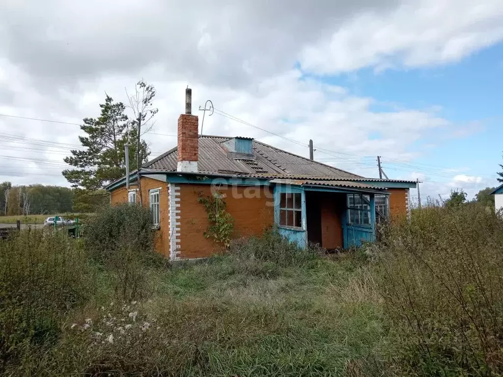 Дом в Омская область, Марьяновский район, д. Голенки Дорожная ул. (75 ... - Фото 0