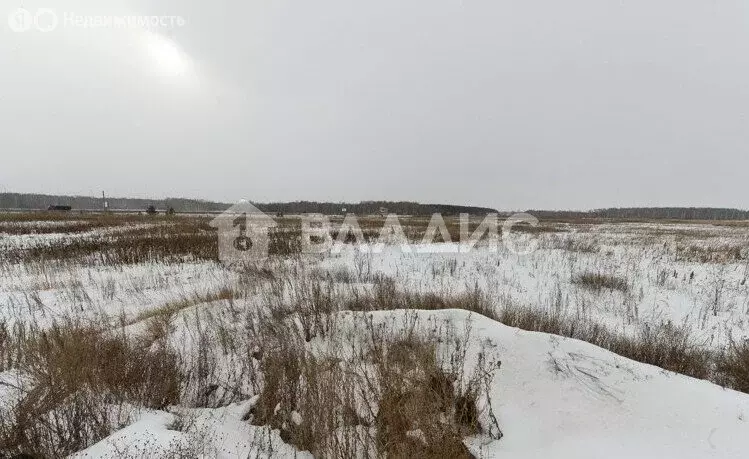 Участок в Ломоносовский район, Русско-Высоцкое сельское поселение, ... - Фото 0