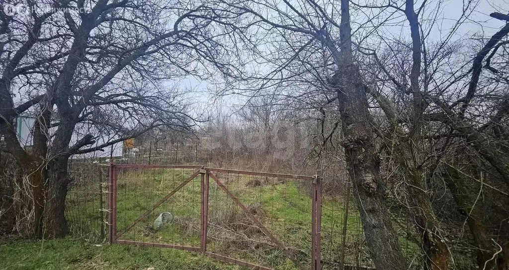 Участок в посёлок Персиановский, садоводческое товарищество Дубок, ... - Фото 1