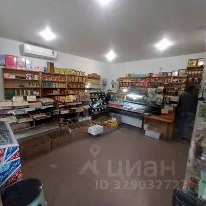 Дом в Крым, Бахчисарайский район, с. Скалистое ул. Щорса, 11 (62 м) - Фото 2