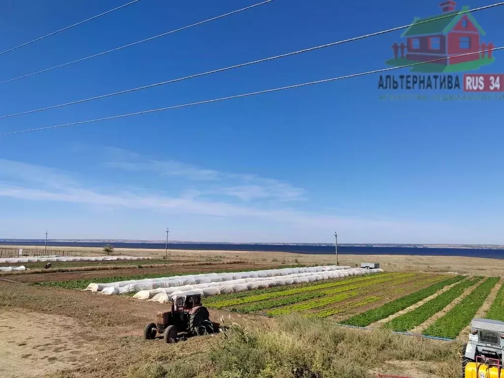 Участок в Волгоградская область, Среднеахтубинский район, ... - Фото 0