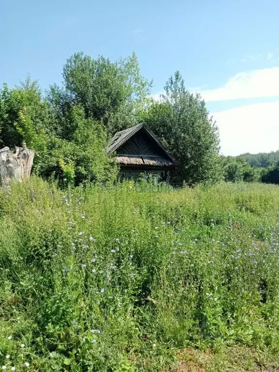 Дом в Нижегородская область, Перевозский городской округ, д. ... - Фото 1