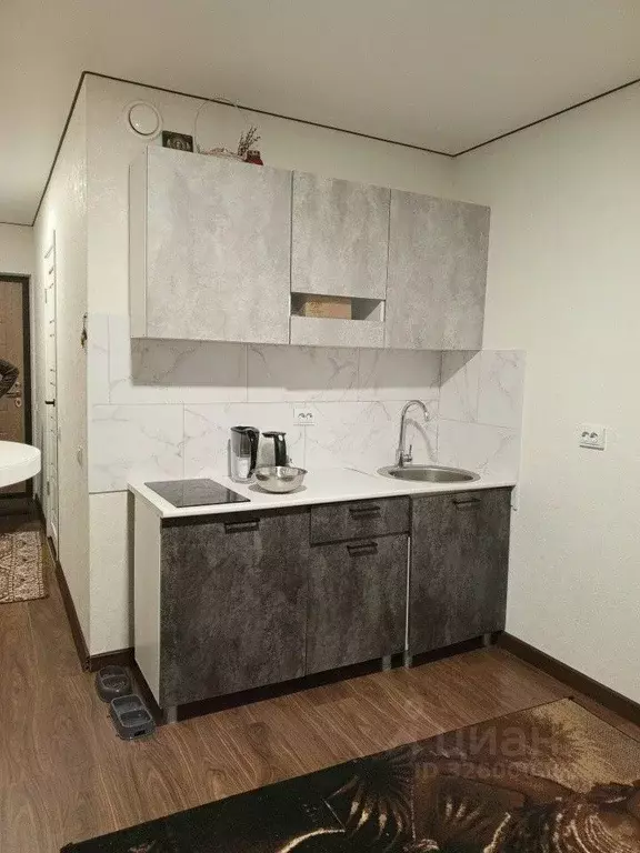 Студия Свердловская область, Екатеринбург ул. Отрадная, 1 (21.2 м) - Фото 2