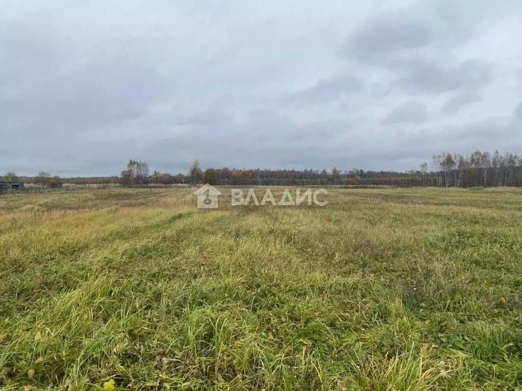Участок в Калужская область, Малоярославецкий муниципальный округ, ... - Фото 2