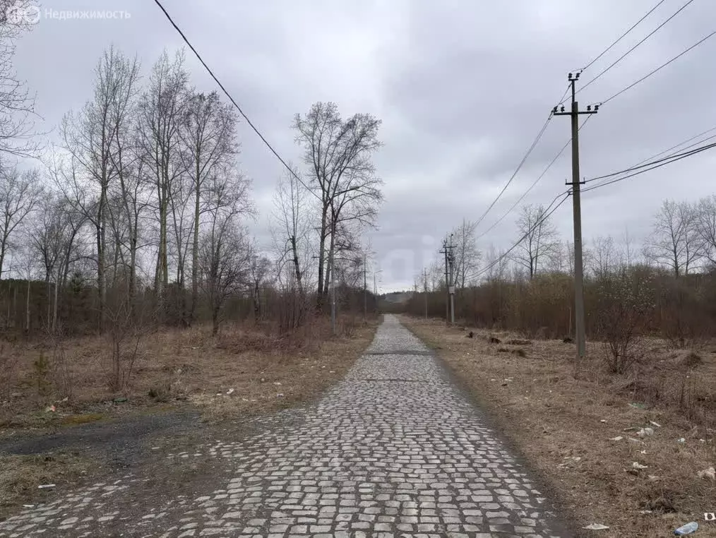 Участок в Нижний Тагил, Тагилстроевский район, микрорайон Новая Кушва ... - Фото 2