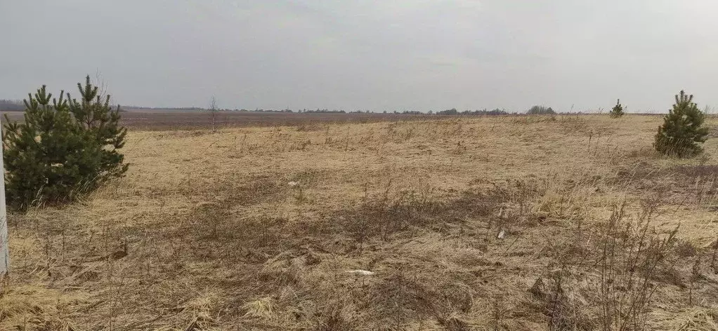 Участок в Московская область, Талдомский городской округ, д. ... - Фото 0