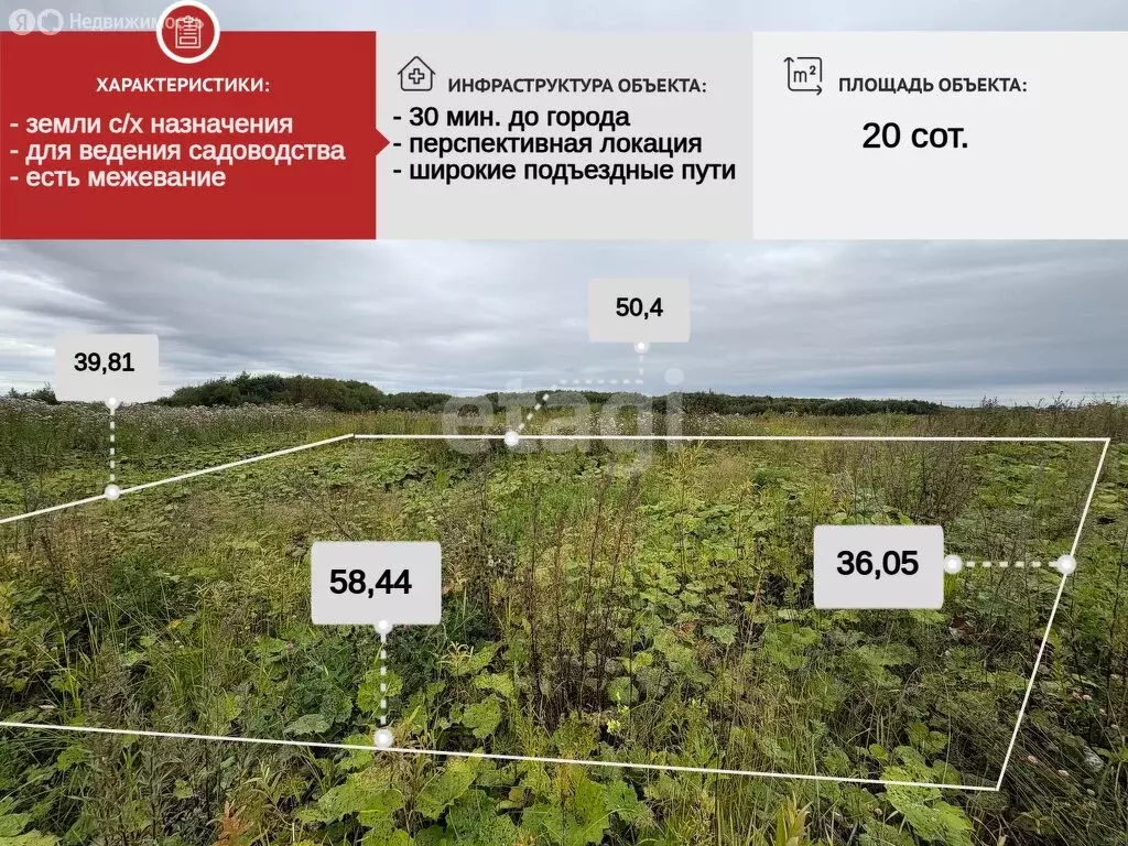 Участок в Архангельская область, Приморский муниципальный округ, СНТ ... - Фото 1