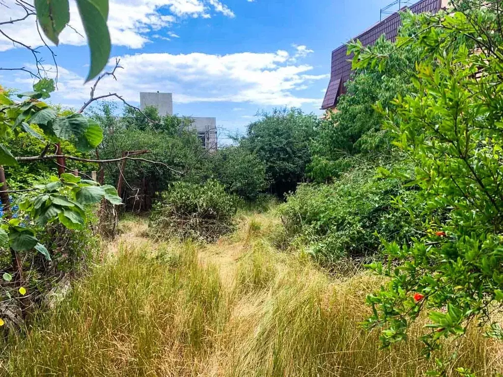 Участок в Крым, Алушта муниципальный округ, с. Рыбачье  (6.0 сот.) - Фото 2