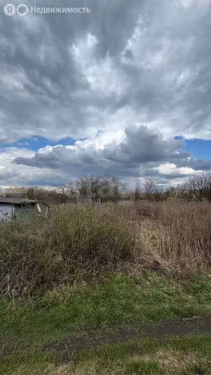 Участок в село Толмачево, СДТ Русь (5 м) - Фото 2
