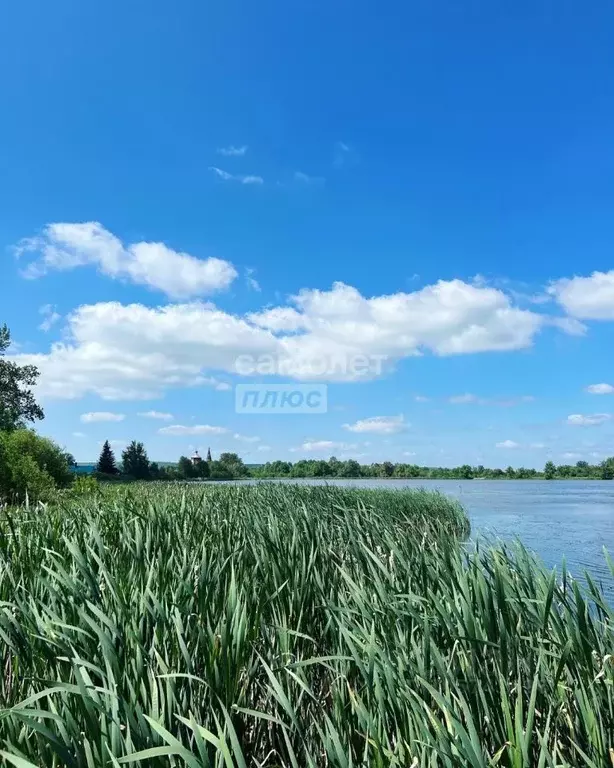 дом в башкортостан, туймазинский район, с. верхнетроицкое ул. . - Фото 0