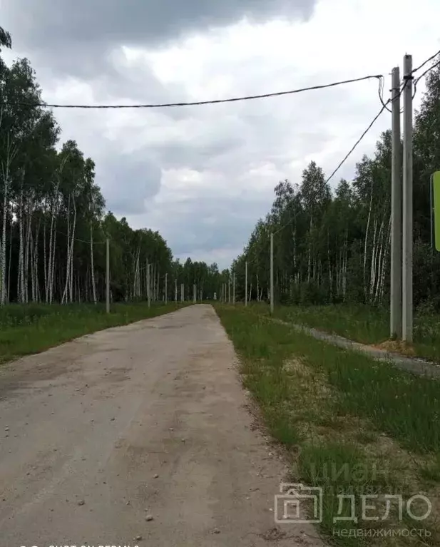 Участок в Рязанская область, Спасский район, Панинское с/пос, с. ... - Фото 1