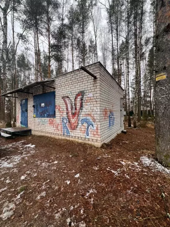 Торговая площадь в Владимирская область, Киржачский муниципальный ... - Фото 0