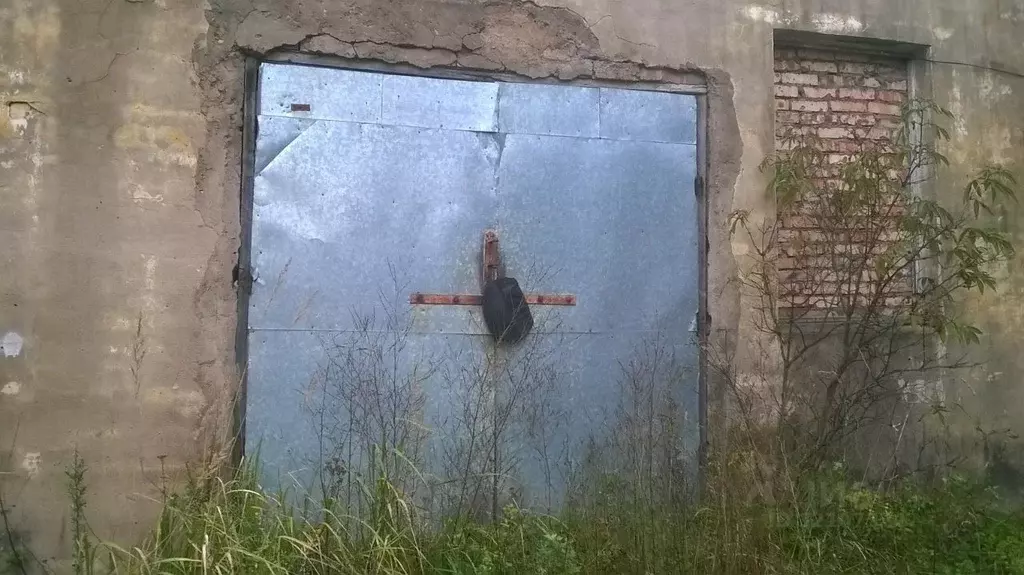 Гараж в Псковская область, Кунья рп ул. Пионерская, 4А (60 м) - Фото 1