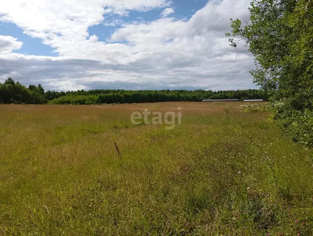 Участок в Коми, Сыктывдинский район, с. Выльгорт ул. Виталия Гилева ... - Фото 1