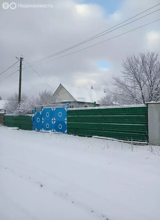 Дом в село Южный Урал, Сельский переулок, 29 (65.8 м) - Фото 2