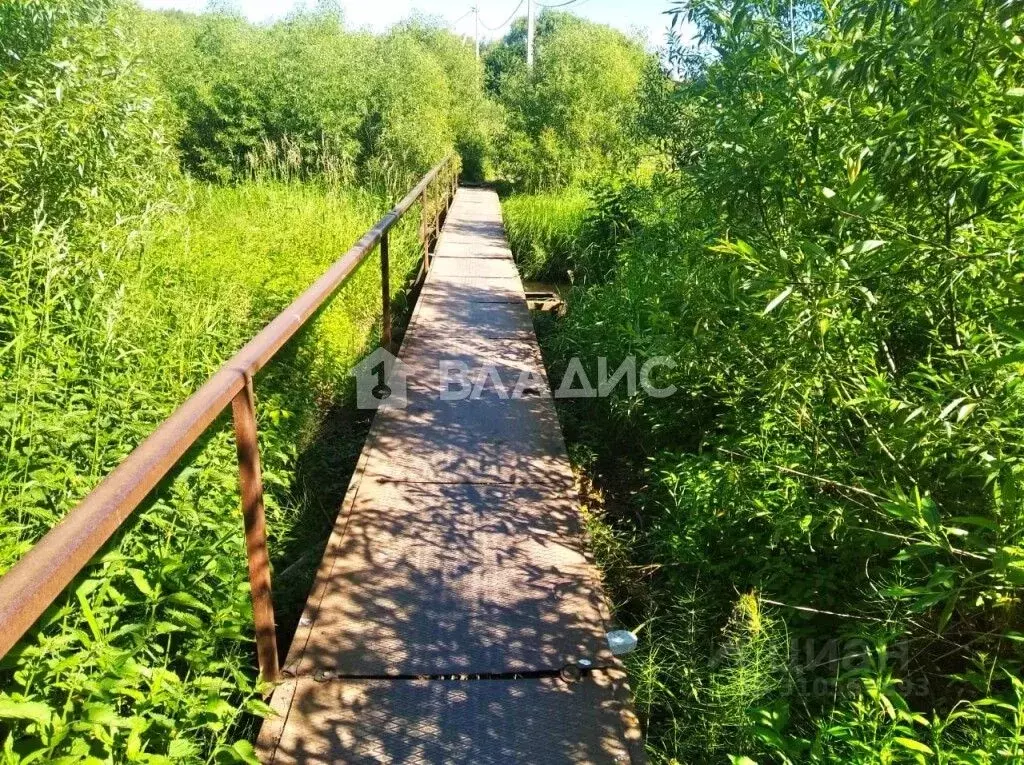 Участок в Владимирская область, Суздальский район, Новоалександровское ... - Фото 0