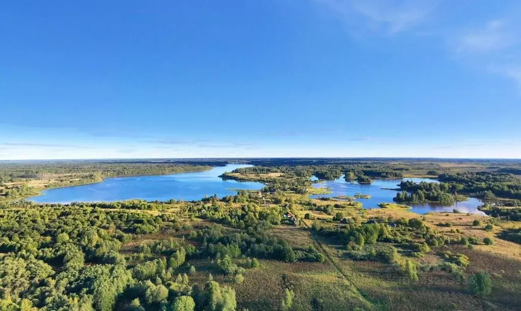 Участок в Тверская область, Вышний Волочек  (87.1 сот.) - Фото 1