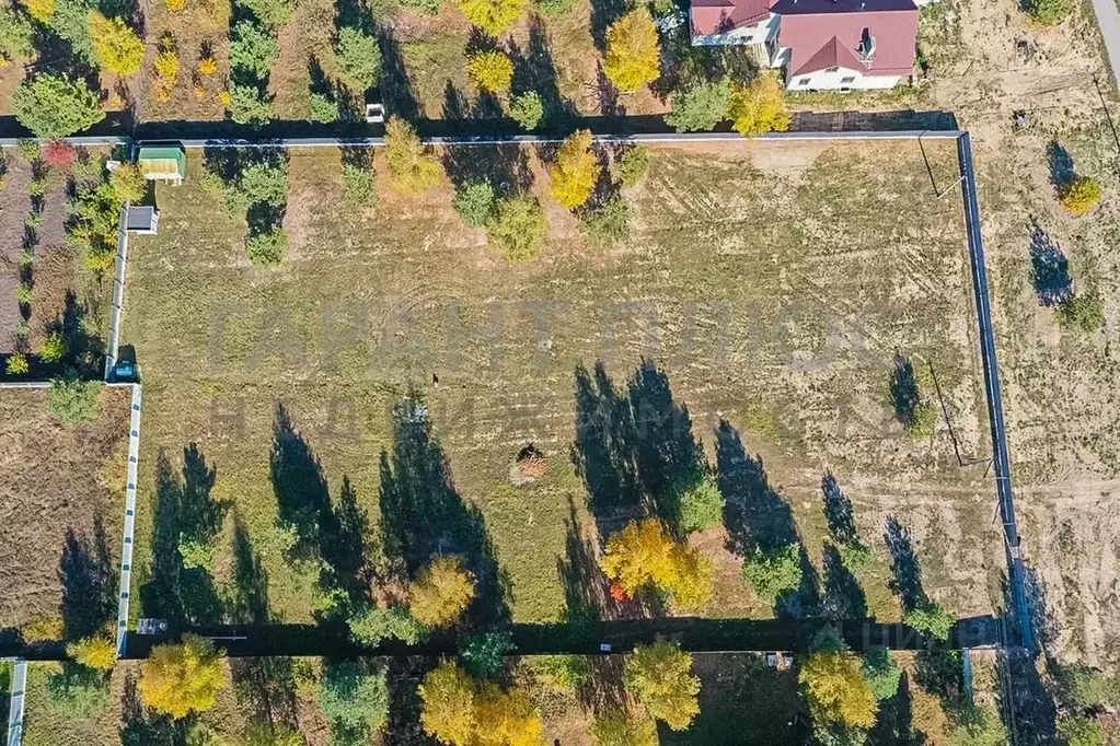 Участок в Липецкая область, с. Доброе ул. Речная, 3 (70.75 сот.) - Фото 2